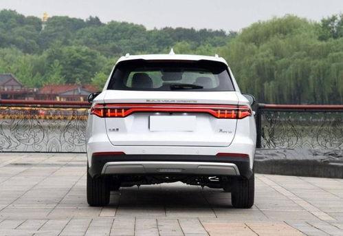 国产1级,引领科技潮流，铸就民族品牌辉煌